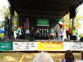 Indy Irish Fest 2013 - 1