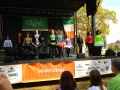 Indy Irish Fest 2013